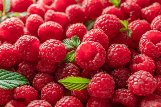 istock Fresh red ripe raspberries. Raspberries background. 1947307747