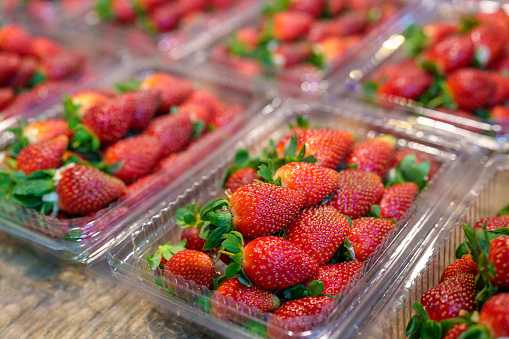 Fresh strawberries are arranged in plastic boxes, ready for sale at the farmers' market, enticing customers with their vibrant colors and sweet aroma.