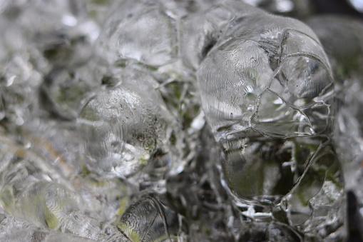 Close up of spheres of ice encasing plants in a woodland