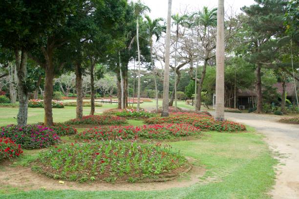 istock Scenery inside Miyakojima Botanical Garden 1947344389