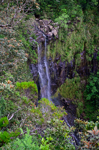 Alexandra Falls Waterfall in Black River Gorges National Park in Mauritius