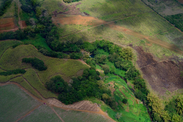 istock Aerial Landscape with Creek in Mauritius 1947408649