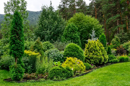 Cozy corner of summer garden in mountain where mixed different deciduous and coniferous plants with various textures and colors of foliage. Landscaping or horticulture, gardening concept