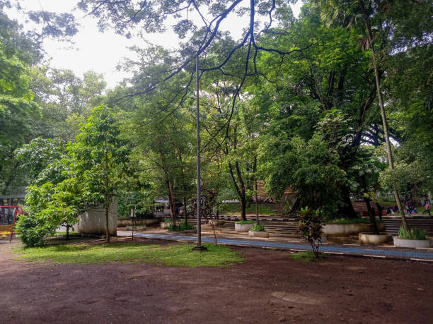 istock shady atmosphere in Bandung traffic park 1947423066