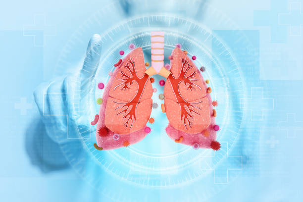 istock Virus attacking the human lungs. Lung disease. Viral infection. 3d illustration 1947463015