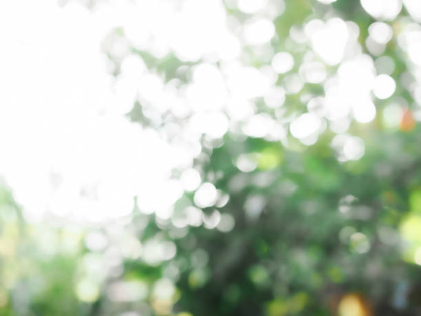 istock Abstract green color with shiny light for natural background 1947465946