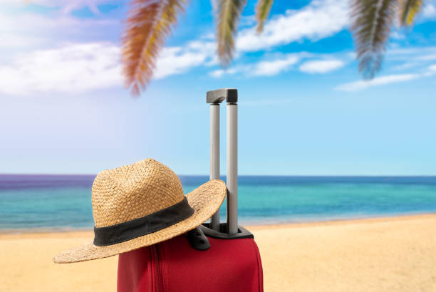 istock ready for the beach holiday 1947466923