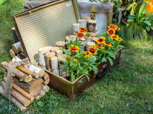 Composition of flowers and logs in an old suitcase.