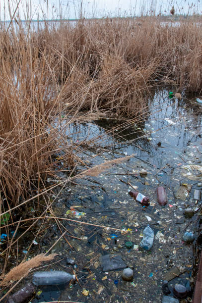 istock Environmental problem, garbage. Contamination with debris and plastic of natural reservoirs. Ukraine 1947511340