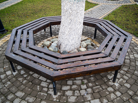 An octagonal bench surrounding a tree trunk.