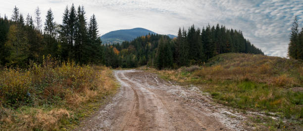 istock Colorful trees in the fall landscape in the backwoods. 1947521546