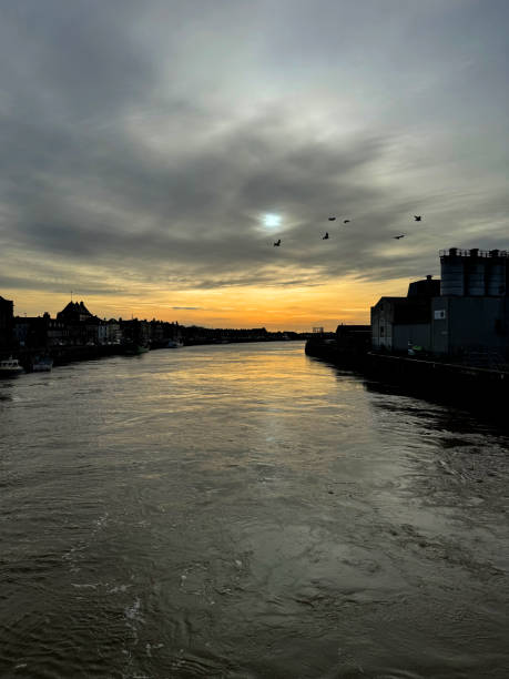 Birds flying over the river Yare with over cast sky
