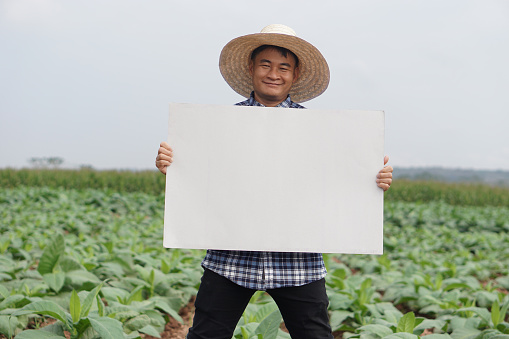 Handsome Asian man farmer holds blank paper poster at vegetables garden.