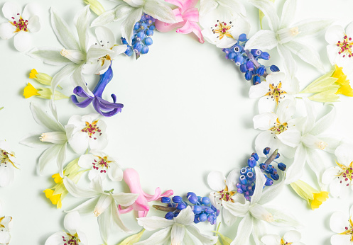 Flat lay frame from spring flowers on a white background. View from above, copy space. Beautiful floral pattern in pastel colors