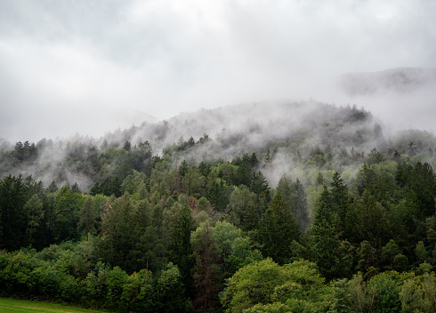 Rain and Fog engulfs the scene in the Blue Ridge Mountains.