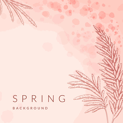 Spring summer loral social media square post templates set. Waterolor green, beige, pink, pastel abstract flower background and greeting cards design. Circle and square botanical plant frame