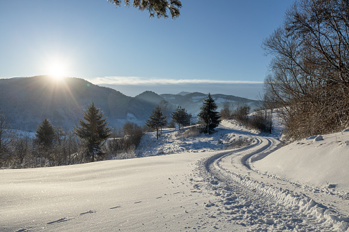 Beautiful winter landscape in the morning light. Transilvania, Romania