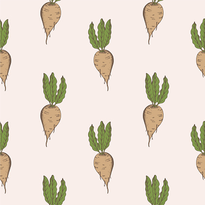 Sugar beet seamless pattern hand drawn vector illustration Repeating background with sweet root plants engraved vegetables for print, card, design, textile, banner, flyer, wrapping. Agriculture, food, beetroot harvesting