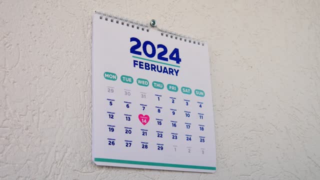 Two male hands tear off a January page of the wall calendar 2024 followed by the next one with the marked St Valentine's Day date