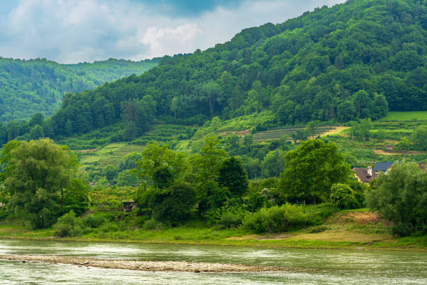 vale de wachau, baixa áustria - at - 8 de junho de 2023 pitoresco vale de wachau, uma região austríaca a oeste de viena. com suas colinas, vinhedos e pomares ao longo do pitoresco rio danúbio. - danube valley danube river austria vienna - fotografias e filmes do acervo