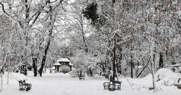 istock Winter in the Park 1947710503