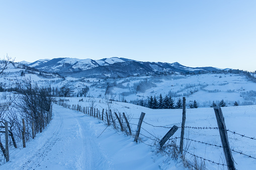 Beautiful winter landscape in the morning light. Transilvania, Romania