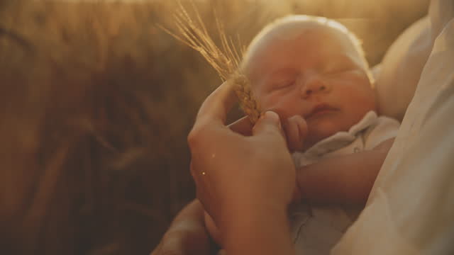 SLO MO Midsection of Mother Holding Wheat Plant while Carrying Sleeping Baby Boy during Bright Sunny Day