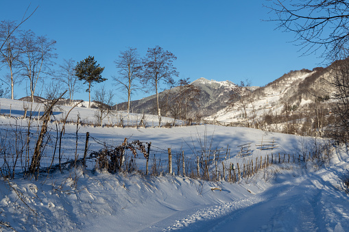 First month of spring, march. Beautiful landscape of nature in early frozen morning. All nature in hoarfrost. Sunbeams illuminate the edge of the forest. Over river are light mist.