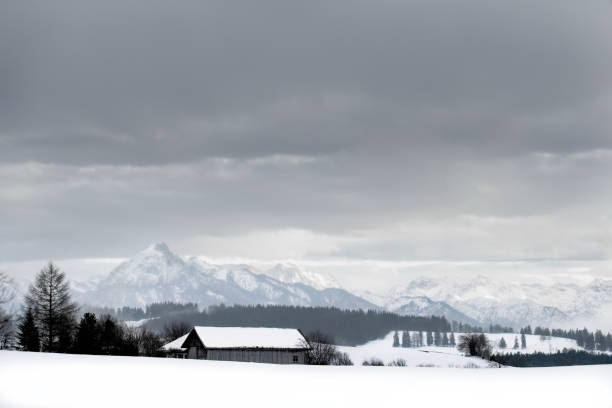 istock A Hut In The Snow 1947732384
