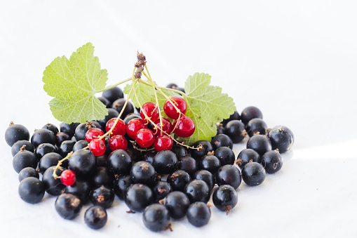 Mix of black and red currants with water drops and green leaves. Blackcurrants, redcurrants isolated on a white background closeup. Currant organic berries harvest - healthy eating and food concept