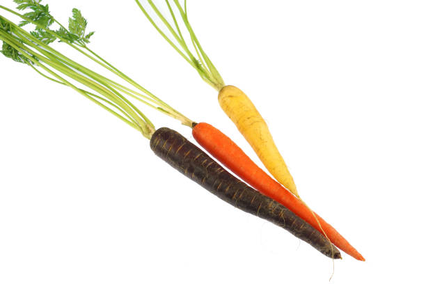 Colorful organic carrot isolated on white background