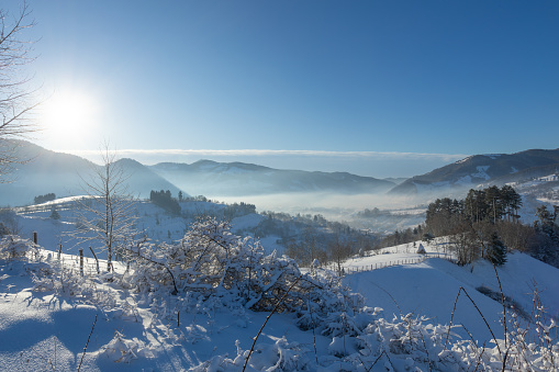 Beautiful winter landscape in the morning light. Transilvania, Romania