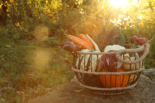 Basket of fall vegetables with sunset background.
