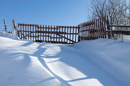 snow on garden fence