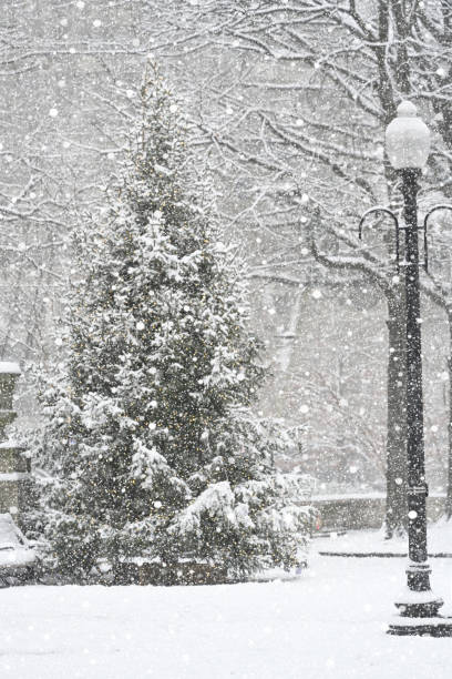 istock Center city Philadelphia during snow storm. 1947836438