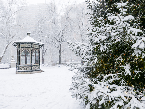 Winter in Center city Philadelphia during snow storm. Rittenhouse Square Park.