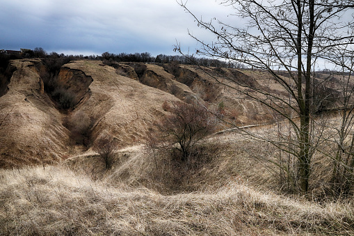 Landscape with wide open space in winter time