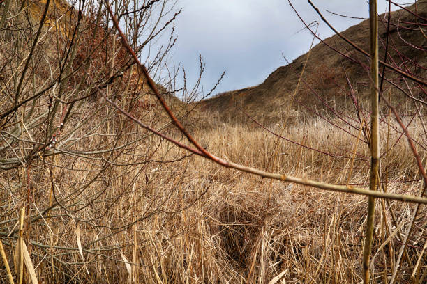 Landscape with wide open space in winter time