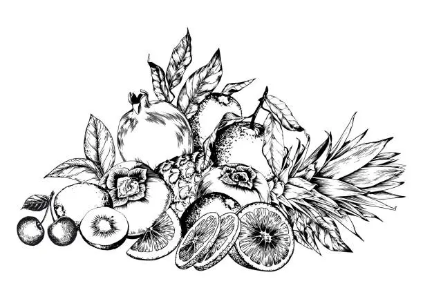 Vector illustration of Persimmon, kiwi and sweet fruits arrangement.