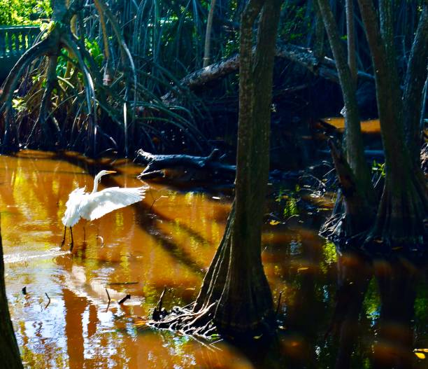 Part of a Series 6# Heron Takes Flight