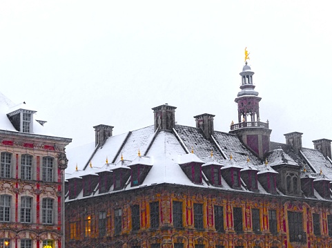 Lille, Janvier 2024: Visit the beautiful city of Lille  under the snow