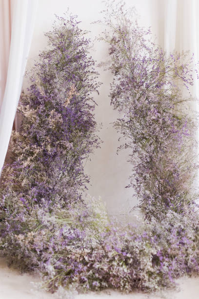 istock Purple arch from limonium flowers 1948100112