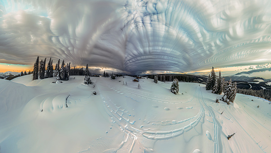 Dramatic wintry scene with snowy trees, little planet format