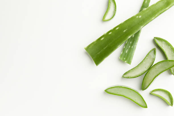 istock Fresh aloe vera pieces on white background, flat lay. Space for text 1948126149