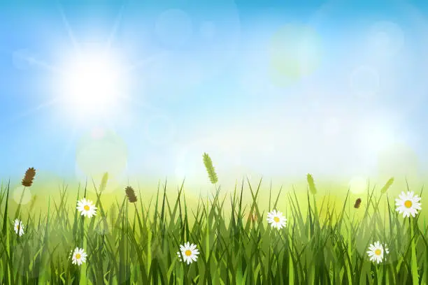 Vector illustration of Spring background with sunshine