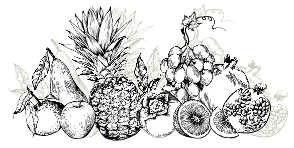Pineapples, grape, pomegranates and sweet fruits horizontal arrangement. Black and white hand drawn vector illustration.