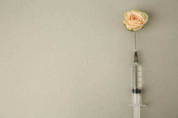 istock Medical syringe and rose flower on light grey background, flat lay. Space for text 1948196014