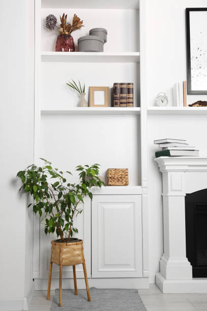White shelving unit with houseplant and different decor elements in room. Interior design