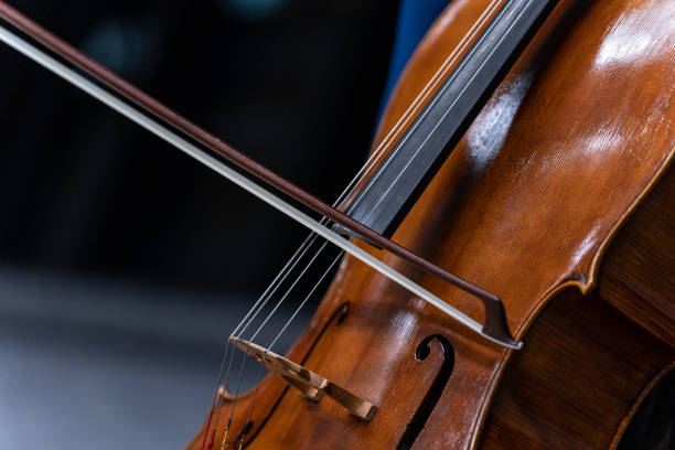 Close-up of the strings and bow of a cello