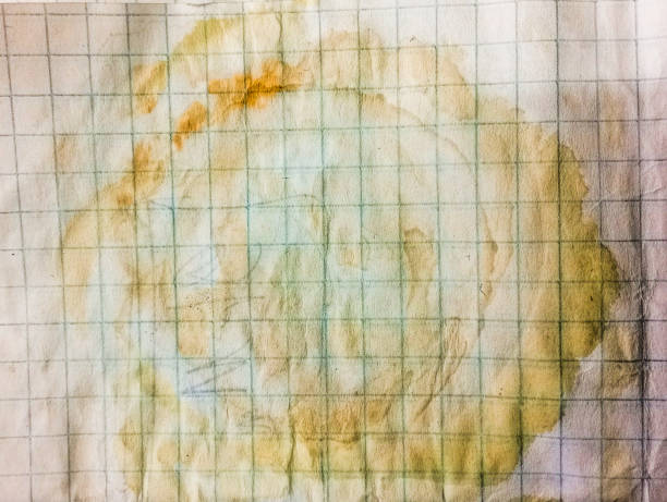 Macro shot of a large, dried coffee stain on a textured white paper napkin, islated background